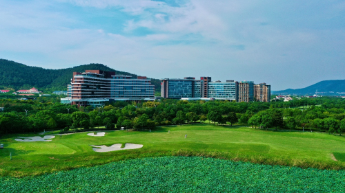 连续四届蝉联金梧桐奖二星，万丽轩中餐厅以匠心守味续写荣耀